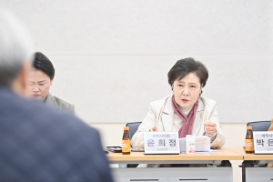 국내외 도시협력 활성화 연구단체 연구용역 최종보고회 (2025. 11. 20) 2번째 파일