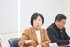 국내외 도시협력 활성화 연구단체 연구용역 최종보고회 (2025. 11. 20) 3번째 파일