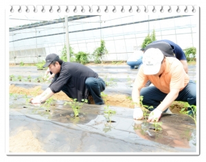 사랑나눔 봉사활동(교남어유지동산)1(2012. 6. 15) 3번째 파일