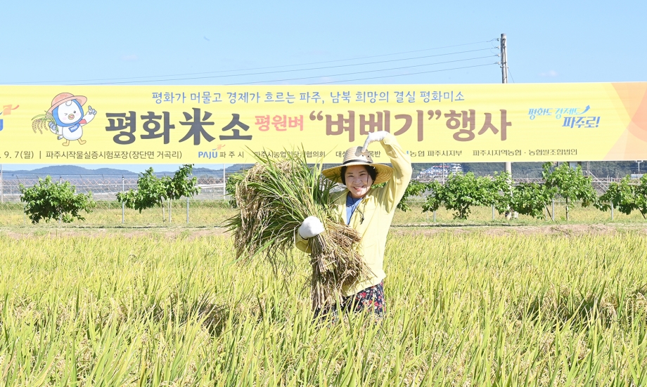 평화미소 평원벼 벼베기 행사 (2026. 09. 07) 7번째 파일