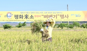 평화미소 평원벼 벼베기 행사 (2026. 09. 07) 7번째 파일
