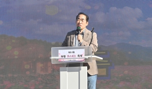 파평 코스모스축제 (2026. 10. 10) 2번째 파일